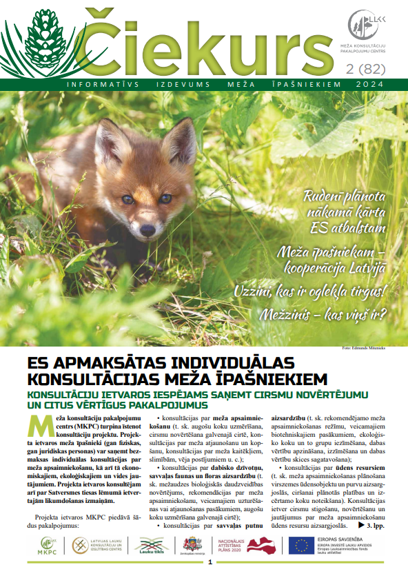 Čiekurs 2024. Vasara