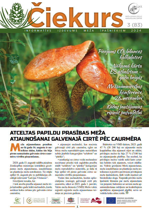 Čiekurs 2024. Rudens