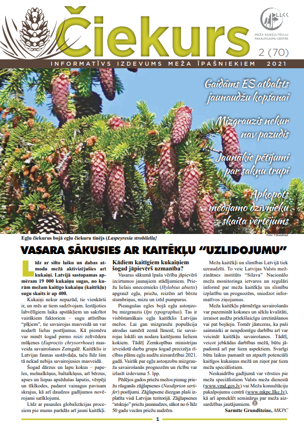 Čiekurs 2021. Vasara