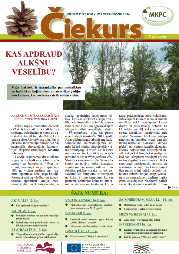 Čiekurs 2016. Vasara