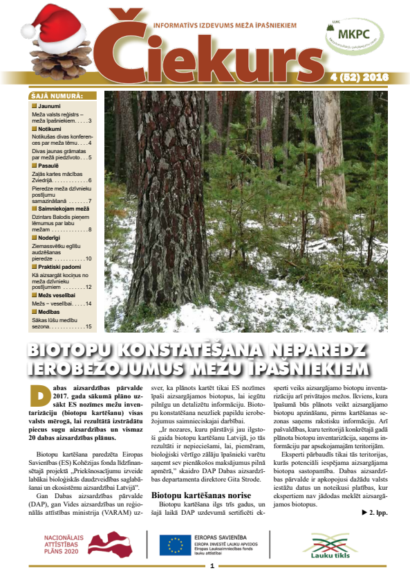 Čiekurs 2016. Ziema