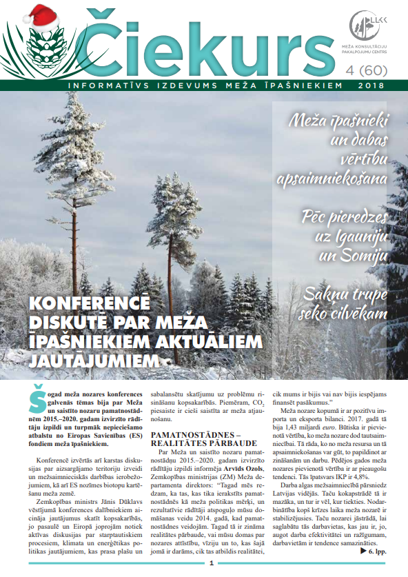 Čiekurs 2018. Ziema