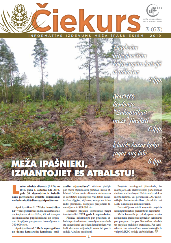 Čiekurs 2019. Rudens