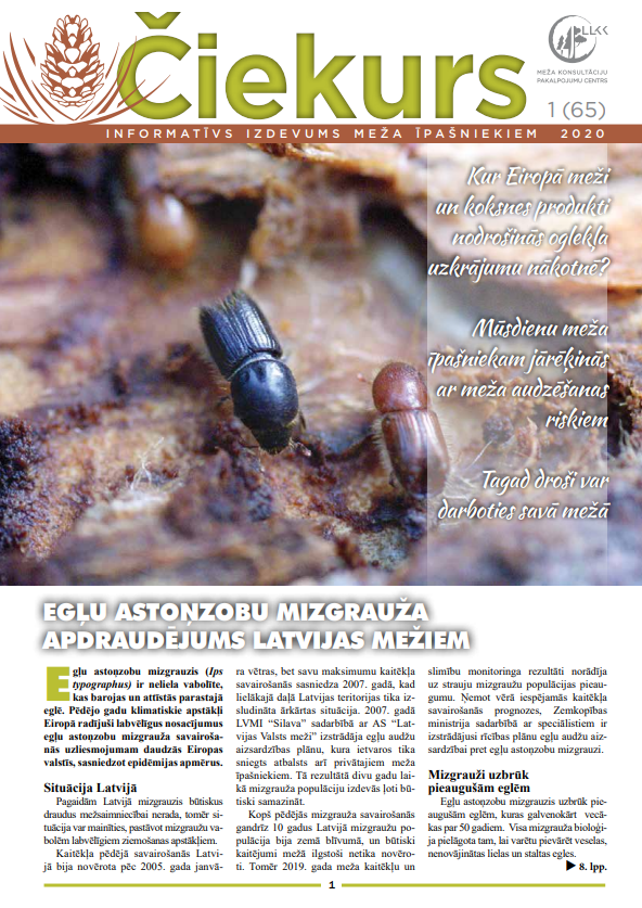 Čiekurs 2020. Pavasaris