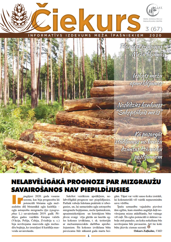 Čiekurs 2020. Rudens