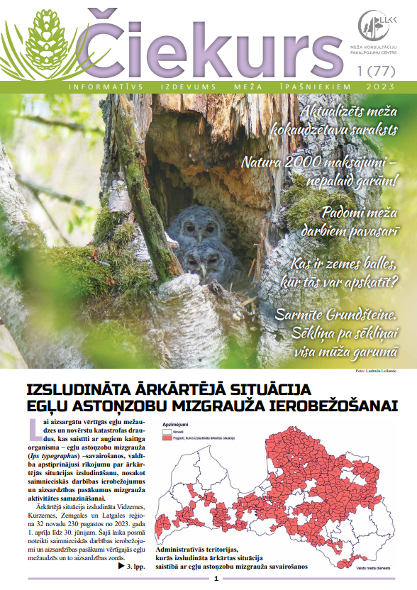 Čiekurs 2023. Pavasaris