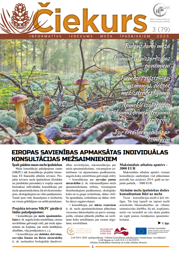 Čiekurs 2023. Rudens