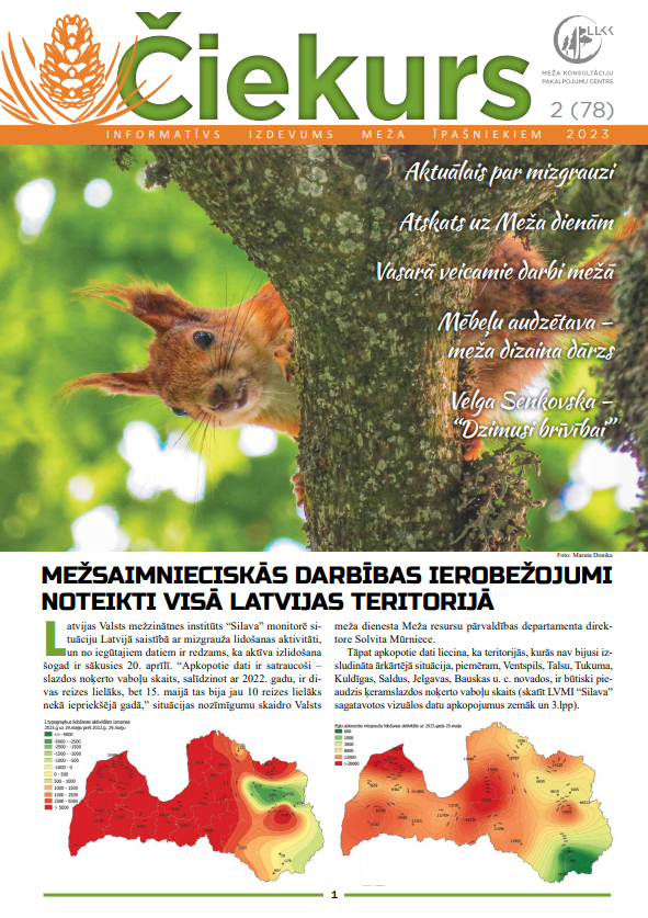 Čiekurs 2023. Vasara