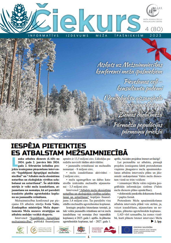 Čiekurs 2023. Ziema