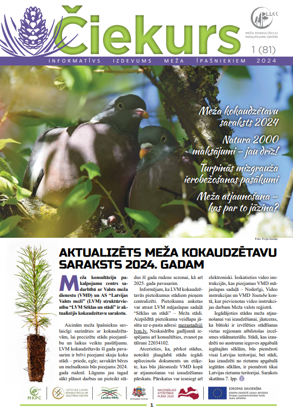 Čiekurs 2024. Pavasaris