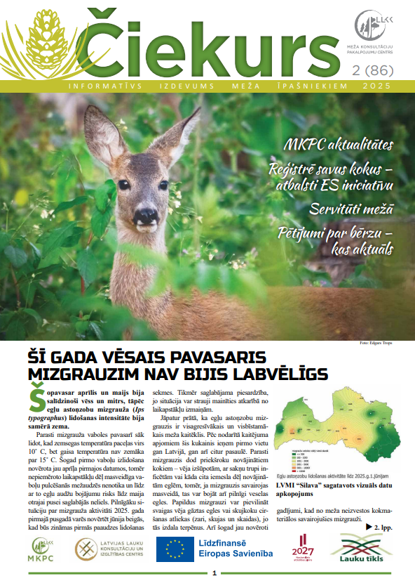 Čiekurs 2025. Vasara