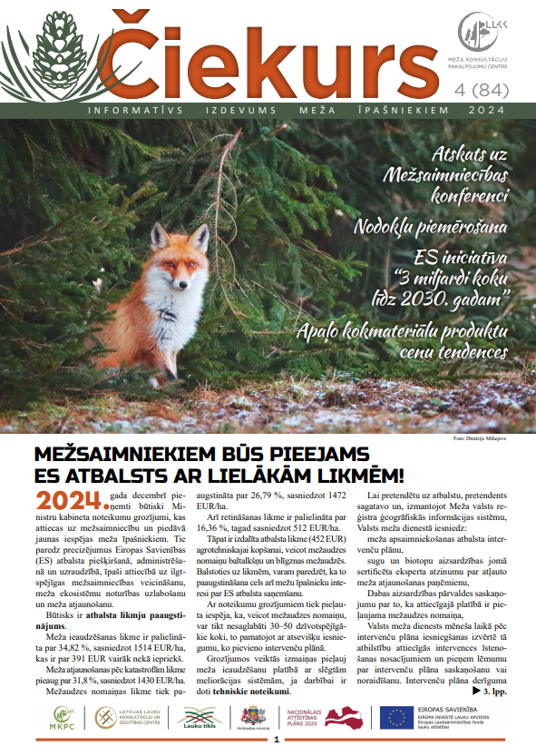 Čiekurs 2024. Ziema