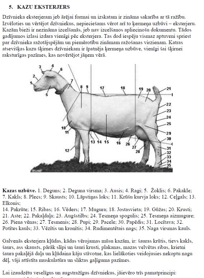 Kazkopības rokasgrāmata