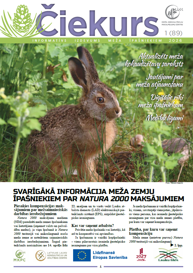 Čiekurs 2026. Pavasaris